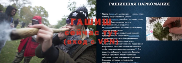 индика Каменногорск
