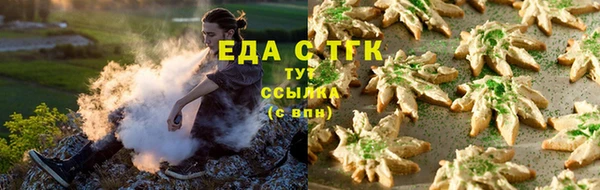 гидра Кодинск