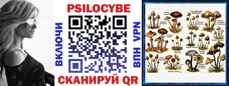 Псилоцибиновые грибы MAGIC MUSHROOMS Кимовск