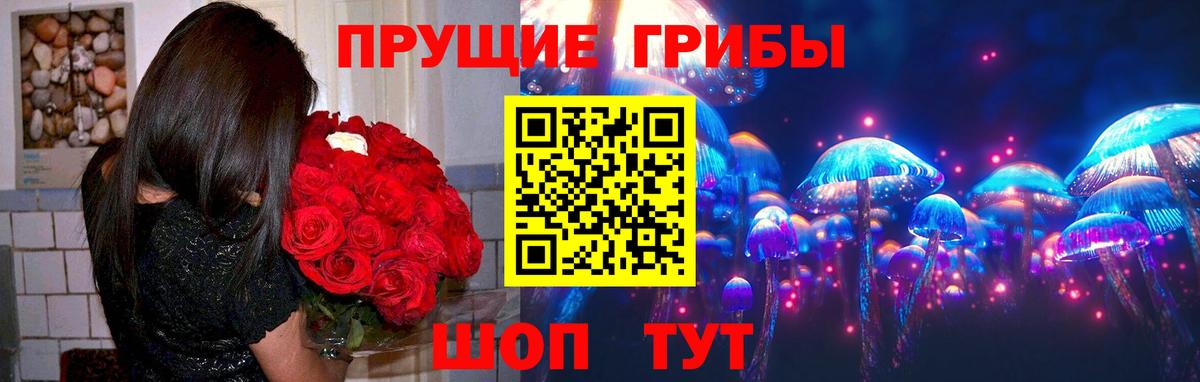 Галлюциногенные грибы Psilocybe  Вход с VPN  Кимовск  Галлюциногенные грибы прущие грибы 